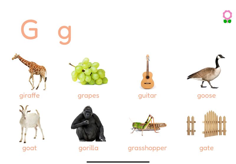 Words starting with the letter G
