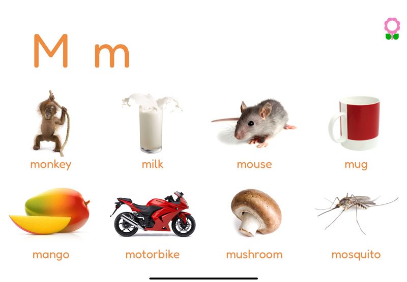 Words starting with the letter M