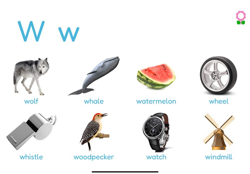 Words starting with the letter W