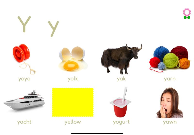 Words starting with the letter Y